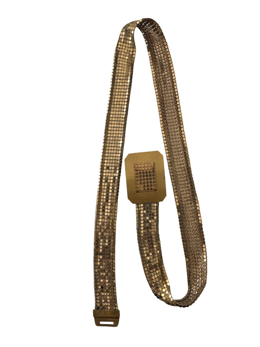 Paco Rabane Style Mesh Belt