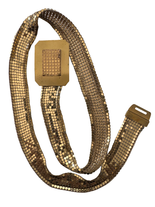 Paco Rabane Style Mesh Belt