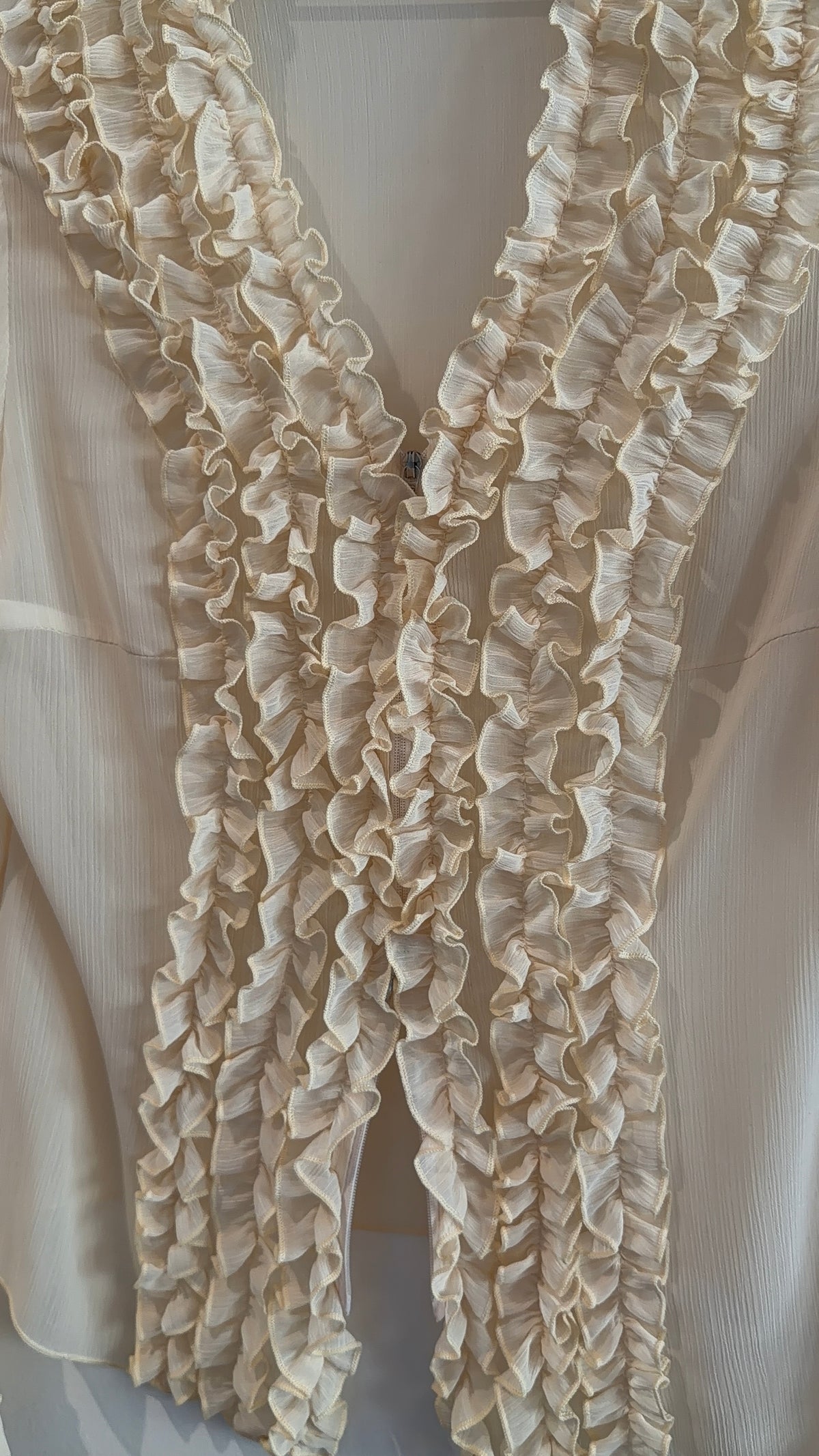 Vintage Sheer Ruffle Blouse